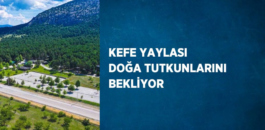 KEFE YAYLASI DOĞA TUTKUNLARINI BEKLİYOR