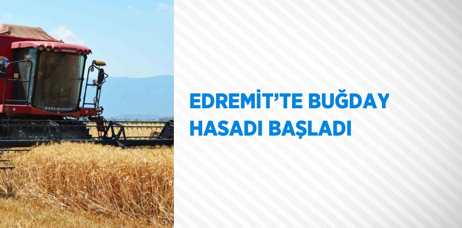 EDREMİT’TE BUĞDAY HASADI BAŞLADI