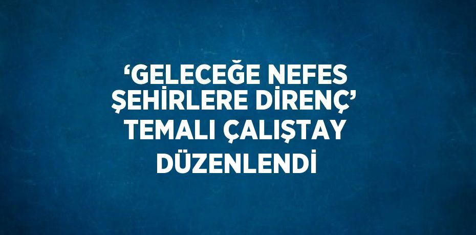 ‘GELECEĞE NEFES ŞEHİRLERE DİRENÇ’ TEMALI ÇALIŞTAY DÜZENLENDİ