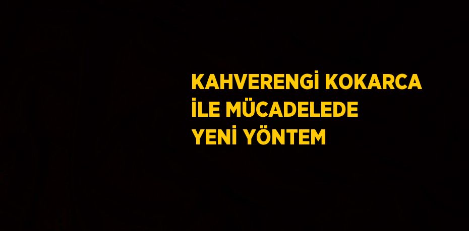 KAHVERENGİ KOKARCA İLE MÜCADELEDE YENİ YÖNTEM