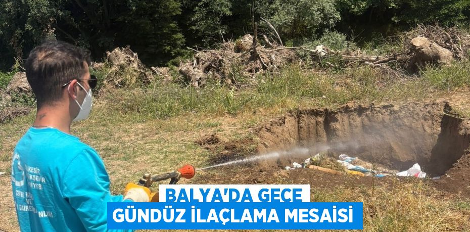 BALYA'DA GECE GÜNDÜZ İLAÇLAMA MESAİSİ