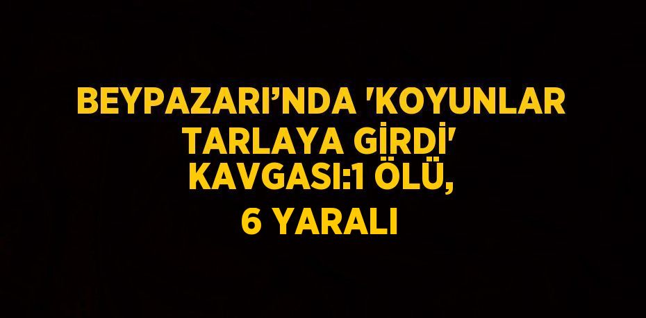 BEYPAZARI’NDA 'KOYUNLAR TARLAYA GİRDİ' KAVGASI:1 ÖLÜ, 6 YARALI