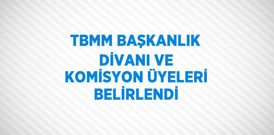 TBMM BAŞKANLIK DİVANI VE KOMİSYON ÜYELERİ BELİRLENDİ