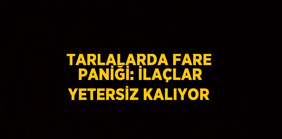 TARLALARDA FARE PANİĞİ: İLAÇLAR YETERSİZ KALIYOR