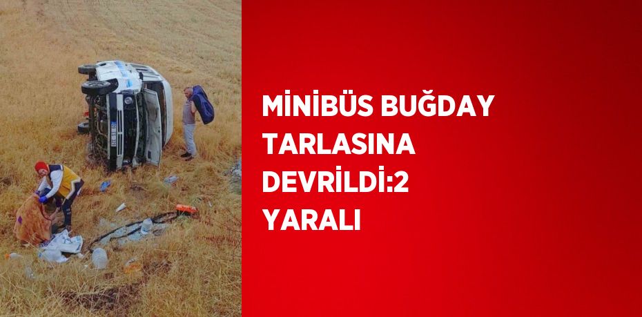 MİNİBÜS BUĞDAY TARLASINA DEVRİLDİ:2 YARALI