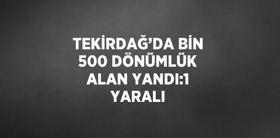 TEKİRDAĞ’DA BİN 500 DÖNÜMLÜK ALAN YANDI:1 YARALI