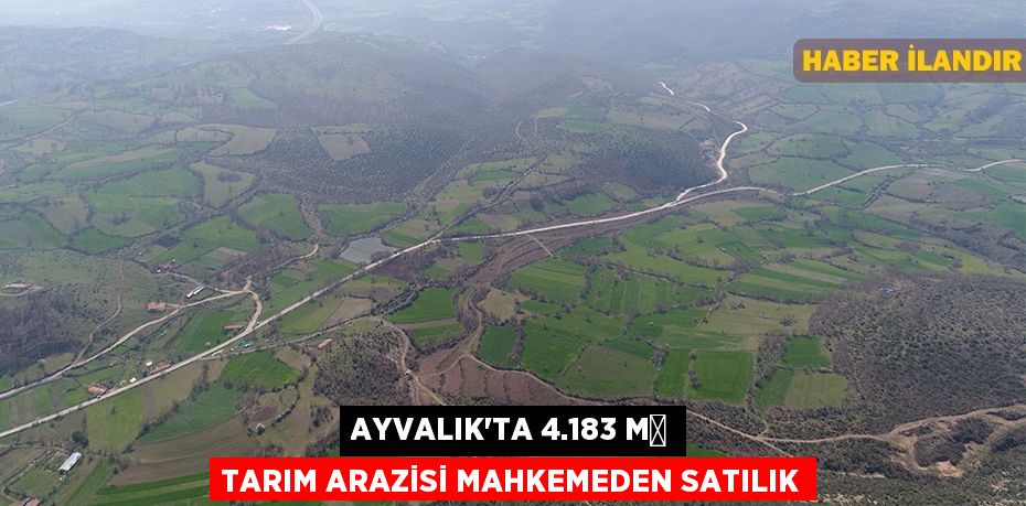 Ayvalık'ta 4.183 m² tarım arazisi mahkemeden satılık