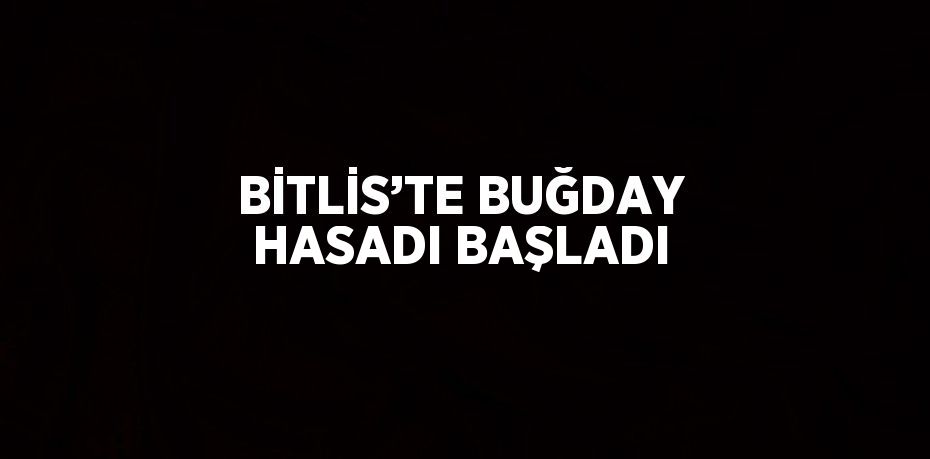 BİTLİS’TE BUĞDAY HASADI BAŞLADI