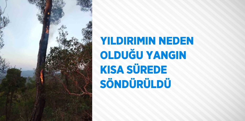YILDIRIMIN NEDEN OLDUĞU YANGIN KISA SÜREDE SÖNDÜRÜLDÜ
