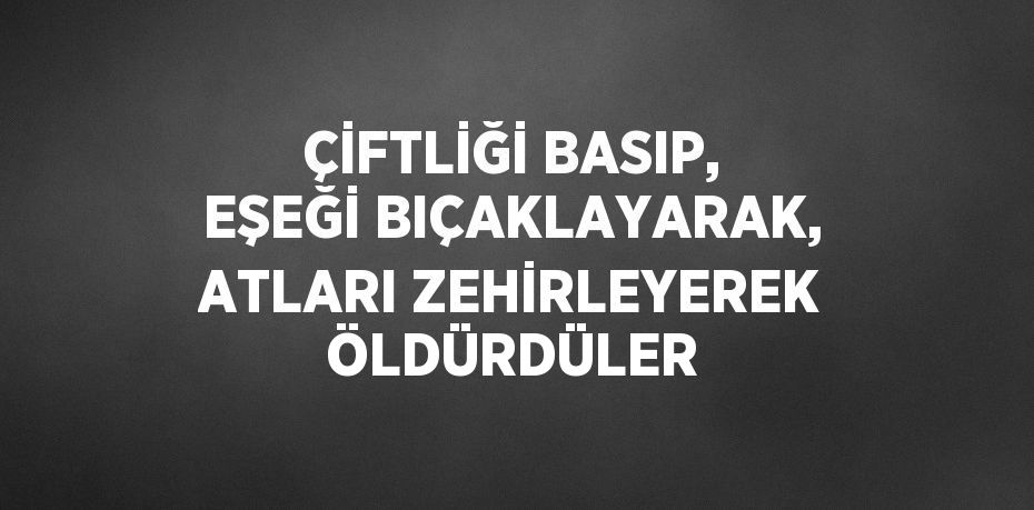 ÇİFTLİĞİ BASIP, EŞEĞİ BIÇAKLAYARAK, ATLARI ZEHİRLEYEREK ÖLDÜRDÜLER