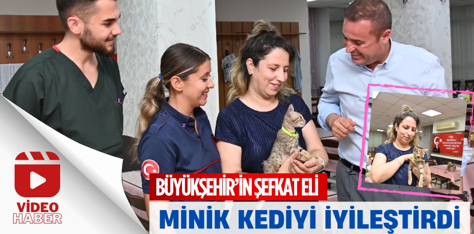 BÜYÜKŞEHİR’İN ŞEFKAT ELİ MİNİK KEDİYİ İYİLEŞTİRDİ