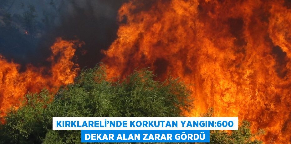 KIRKLARELİ’NDE KORKUTAN YANGIN:600 DEKAR ALAN ZARAR GÖRDÜ