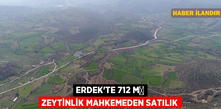 Erdek'te 712 m² zeytinlik mahkemeden satılık