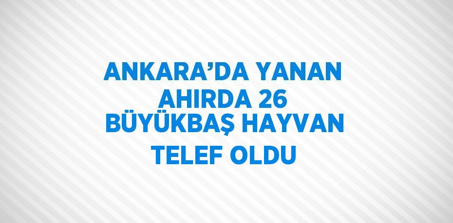 ANKARA’DA YANAN AHIRDA 26 BÜYÜKBAŞ HAYVAN TELEF OLDU