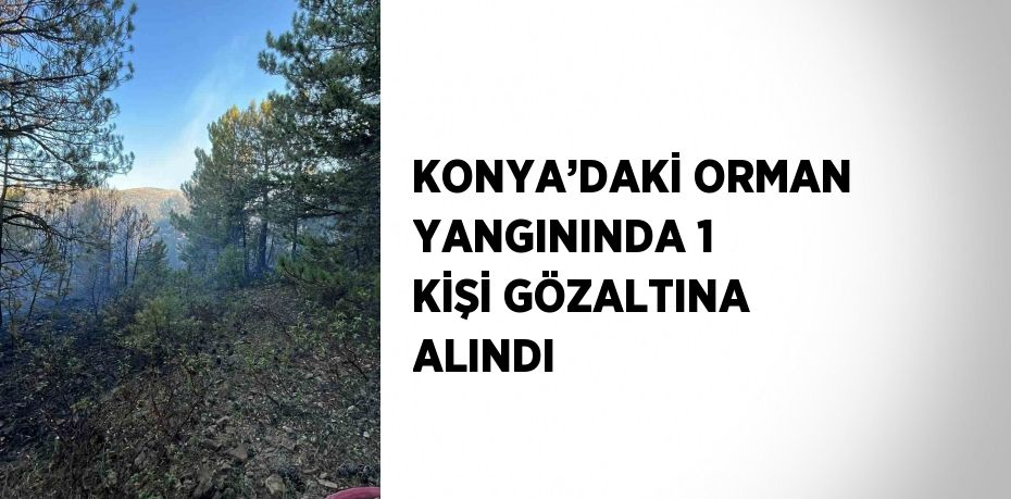 KONYA’DAKİ ORMAN YANGININDA 1 KİŞİ GÖZALTINA ALINDI