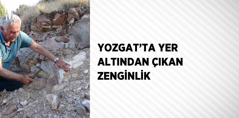 YOZGAT’TA YER ALTINDAN ÇIKAN ZENGİNLİK