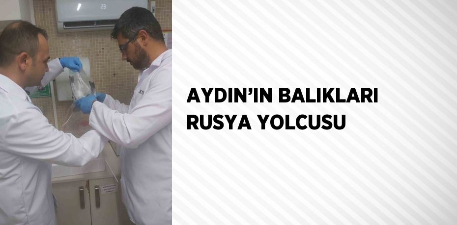 AYDIN’IN BALIKLARI RUSYA YOLCUSU