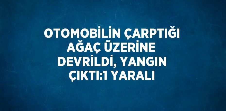 OTOMOBİLİN ÇARPTIĞI AĞAÇ ÜZERİNE DEVRİLDİ, YANGIN ÇIKTI:1 YARALI