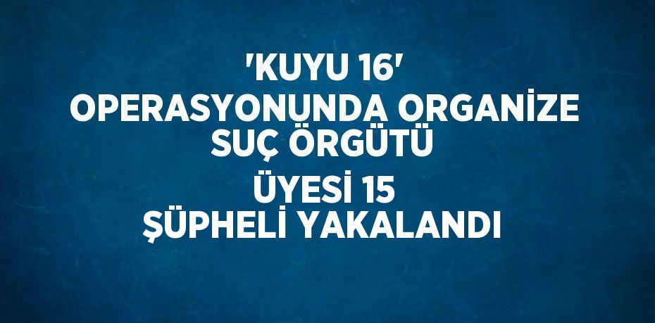 'KUYU 16' OPERASYONUNDA ORGANİZE SUÇ ÖRGÜTÜ ÜYESİ 15 ŞÜPHELİ YAKALANDI