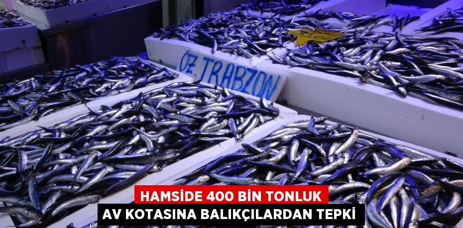 HAMSİDE 400 BİN TONLUK AV KOTASINA BALIKÇILARDAN TEPKİ