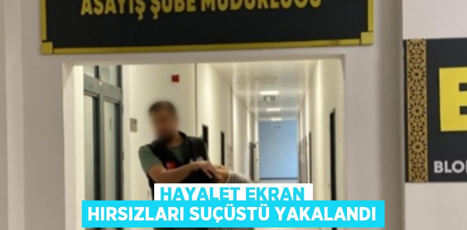 HAYALET EKRAN HIRSIZLARI SUÇÜSTÜ YAKALANDI