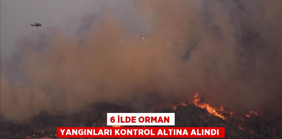 6 ilde orman yangınları kontrol altına alındı