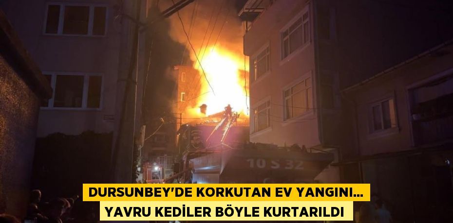 Dursunbey'de korkutan ev yangını... Yavru kediler böyle kurtarıldı