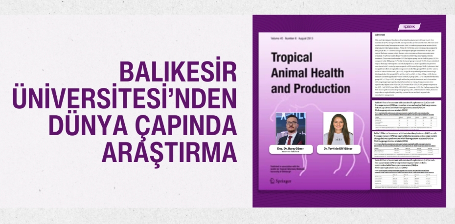 BALIKESİR ÜNİVERSİTESİ’NDEN DÜNYA ÇAPINDA ARAŞTIRMA