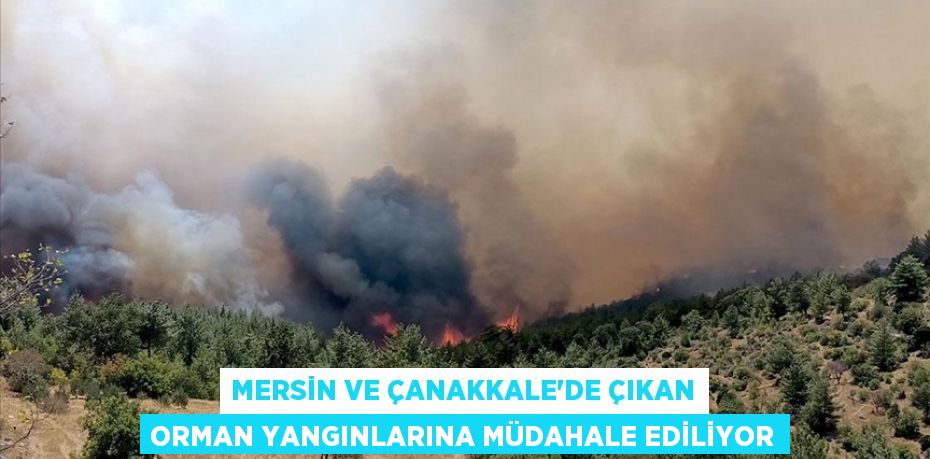 Mersin ve Çanakkale'de çıkan orman yangınlarına müdahale ediliyor