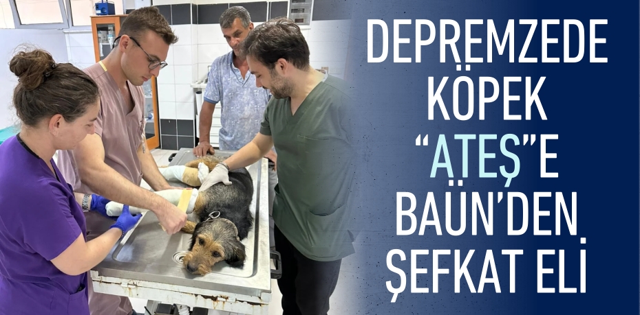 DEPREMZEDE KÖPEK “ATEŞ”E BAÜN’DEN ŞEFKAT ELİ