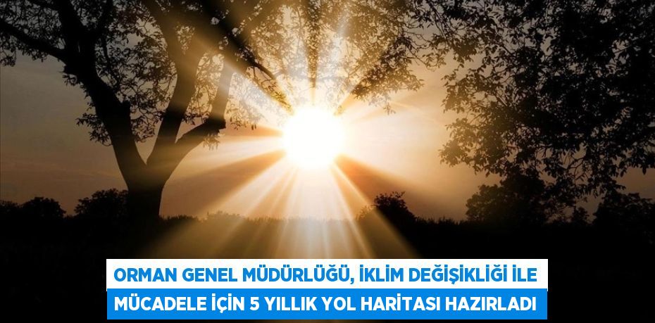 Orman Genel Müdürlüğü, iklim değişikliği ile mücadele için 5 yıllık yol haritası hazırladı