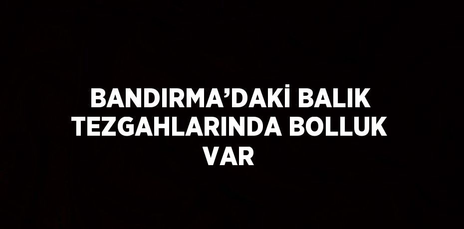 BANDIRMA’DAKİ BALIK TEZGAHLARINDA BOLLUK VAR