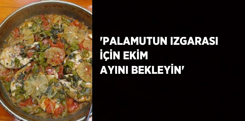 'PALAMUTUN IZGARASI İÇİN EKİM AYINI BEKLEYİN'