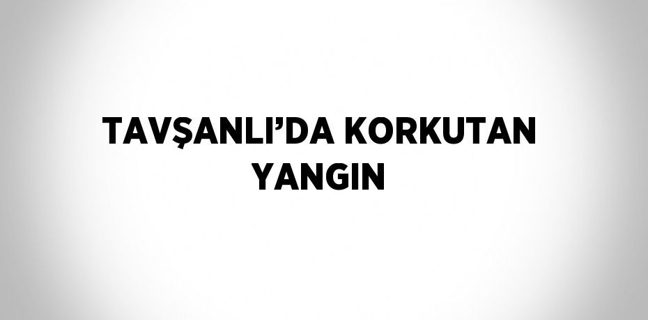 TAVŞANLI’DA KORKUTAN YANGIN