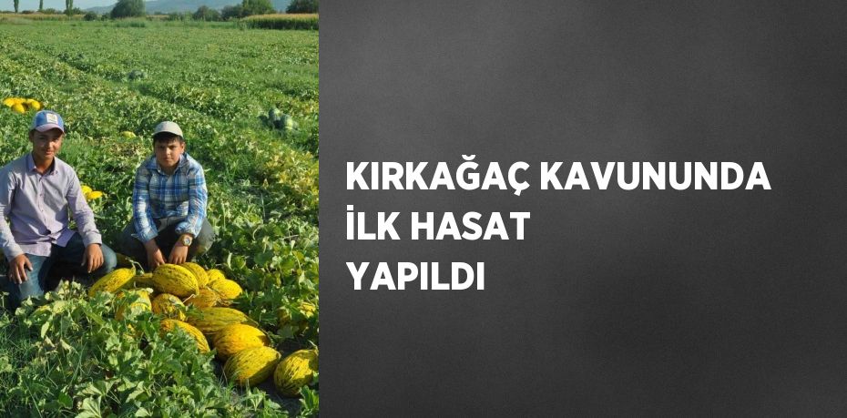 KIRKAĞAÇ KAVUNUNDA İLK HASAT YAPILDI