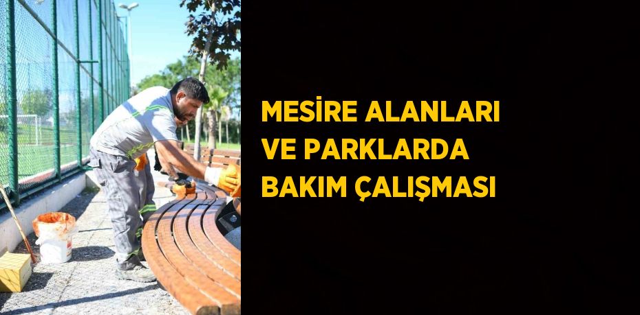 MESİRE ALANLARI VE PARKLARDA BAKIM ÇALIŞMASI