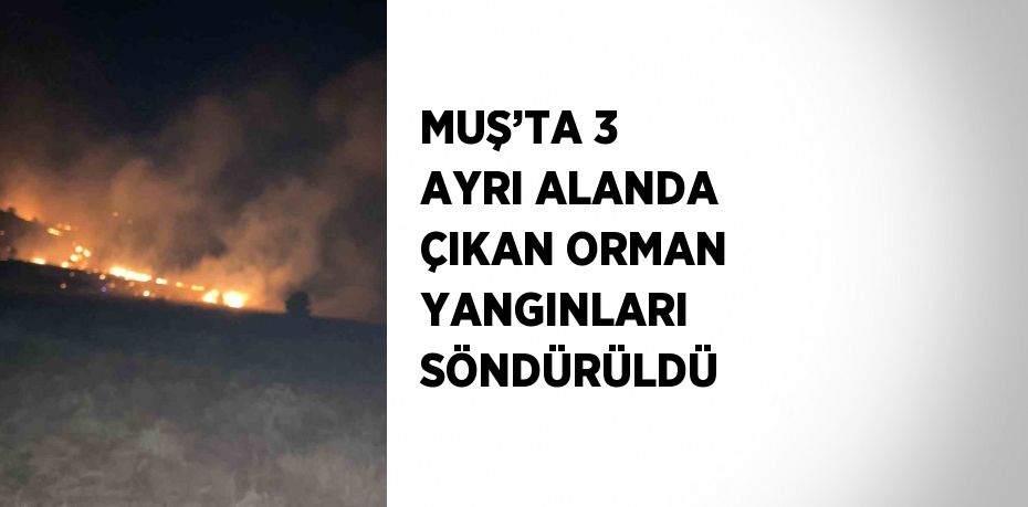 MUŞ’TA 3 AYRI ALANDA ÇIKAN ORMAN YANGINLARI SÖNDÜRÜLDÜ