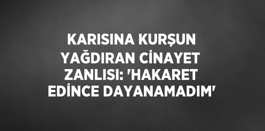 KARISINA KURŞUN YAĞDIRAN CİNAYET ZANLISI: 'HAKARET EDİNCE DAYANAMADIM'