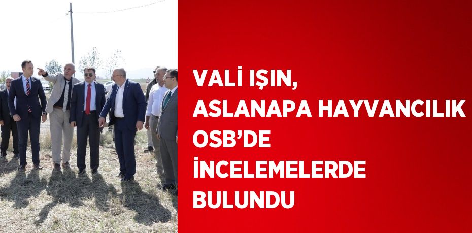 VALİ IŞIN, ASLANAPA HAYVANCILIK OSB’DE İNCELEMELERDE BULUNDU