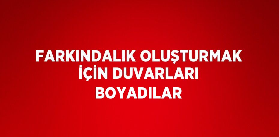 FARKINDALIK OLUŞTURMAK İÇİN DUVARLARI BOYADILAR