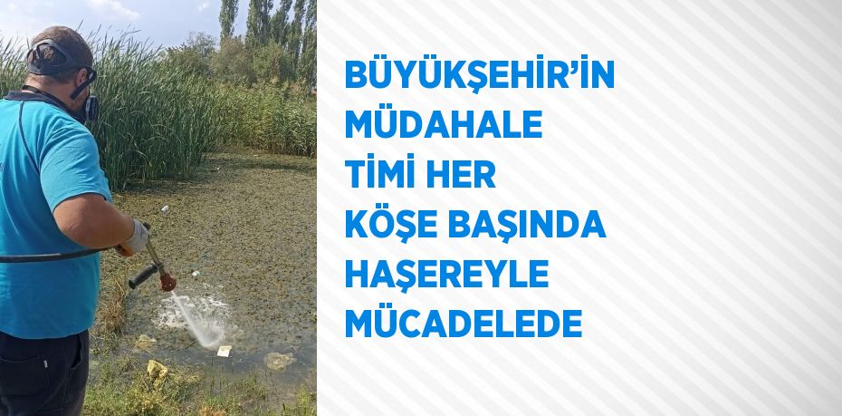 BÜYÜKŞEHİR’İN MÜDAHALE TİMİ HER KÖŞE BAŞINDA HAŞEREYLE MÜCADELEDE