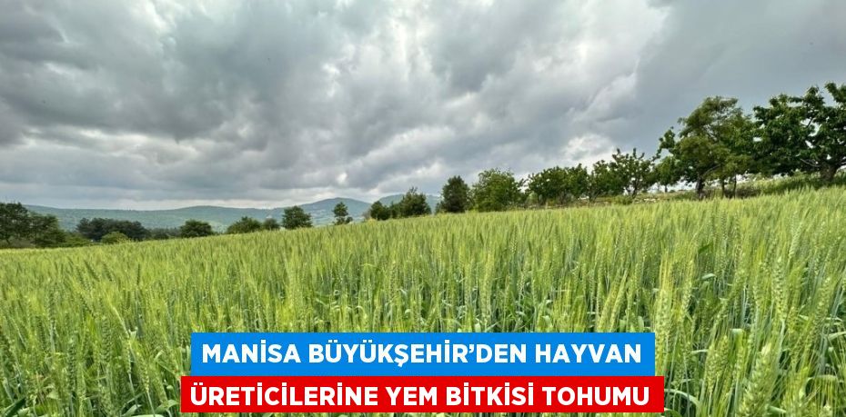 MANİSA BÜYÜKŞEHİR’DEN HAYVAN ÜRETİCİLERİNE YEM BİTKİSİ TOHUMU