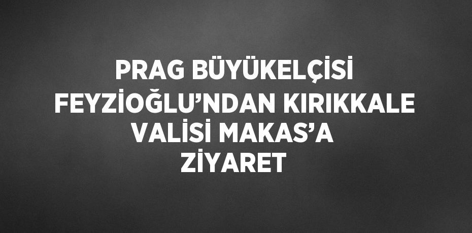 PRAG BÜYÜKELÇİSİ FEYZİOĞLU’NDAN KIRIKKALE VALİSİ MAKAS’A ZİYARET