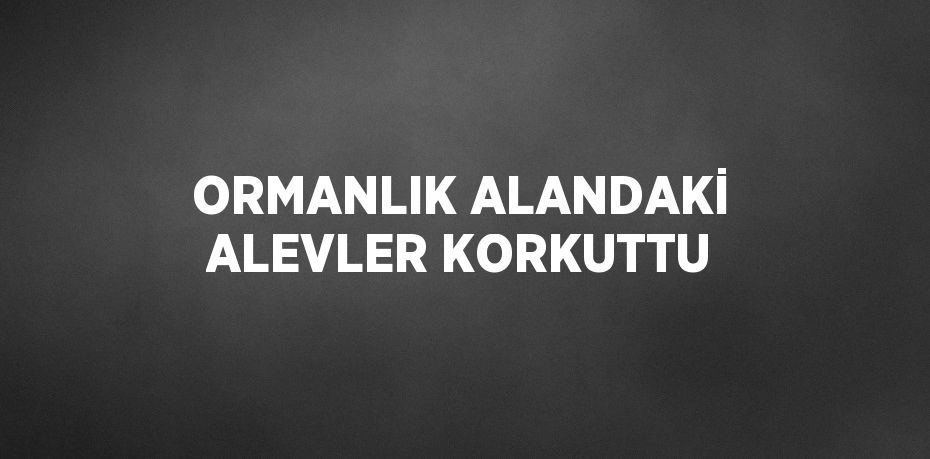 ORMANLIK ALANDAKİ ALEVLER KORKUTTU