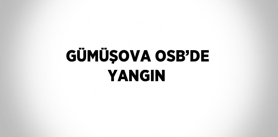 GÜMÜŞOVA OSB’DE YANGIN