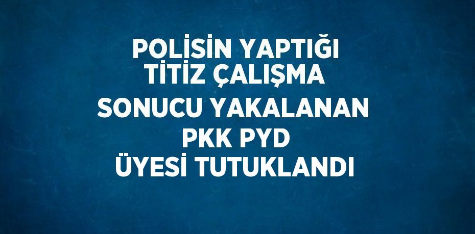POLİSİN YAPTIĞI TİTİZ ÇALIŞMA SONUCU YAKALANAN PKK PYD ÜYESİ TUTUKLANDI