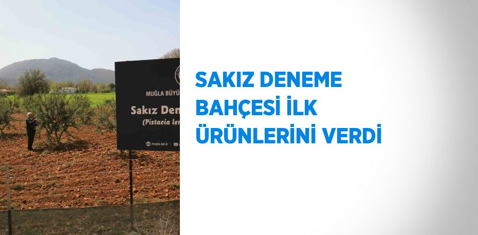 SAKIZ DENEME BAHÇESİ İLK ÜRÜNLERİNİ VERDİ