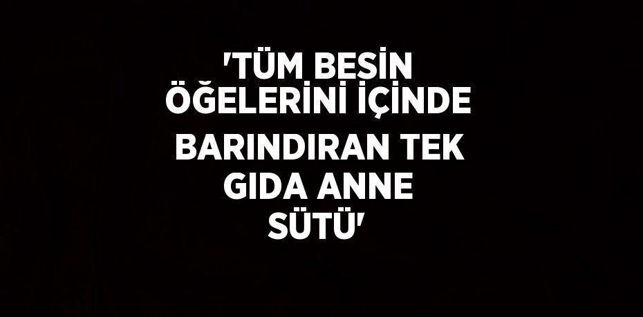 'TÜM BESİN ÖĞELERİNİ İÇİNDE BARINDIRAN TEK GIDA ANNE SÜTÜ'