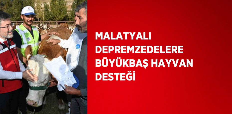 MALATYALI DEPREMZEDELERE BÜYÜKBAŞ HAYVAN DESTEĞİ