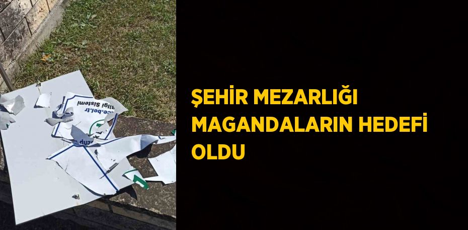 ŞEHİR MEZARLIĞI MAGANDALARIN HEDEFİ OLDU